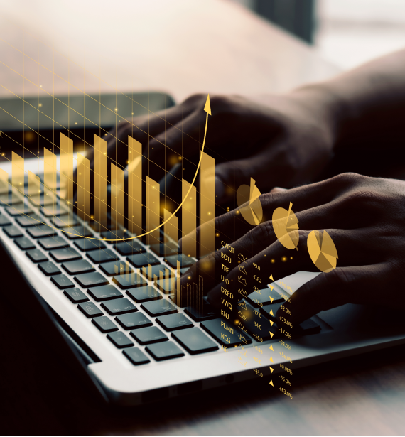 Accountant reviewing business-related records online, representing Tax, Accounting and Bookkeeping Services in Helena, MT